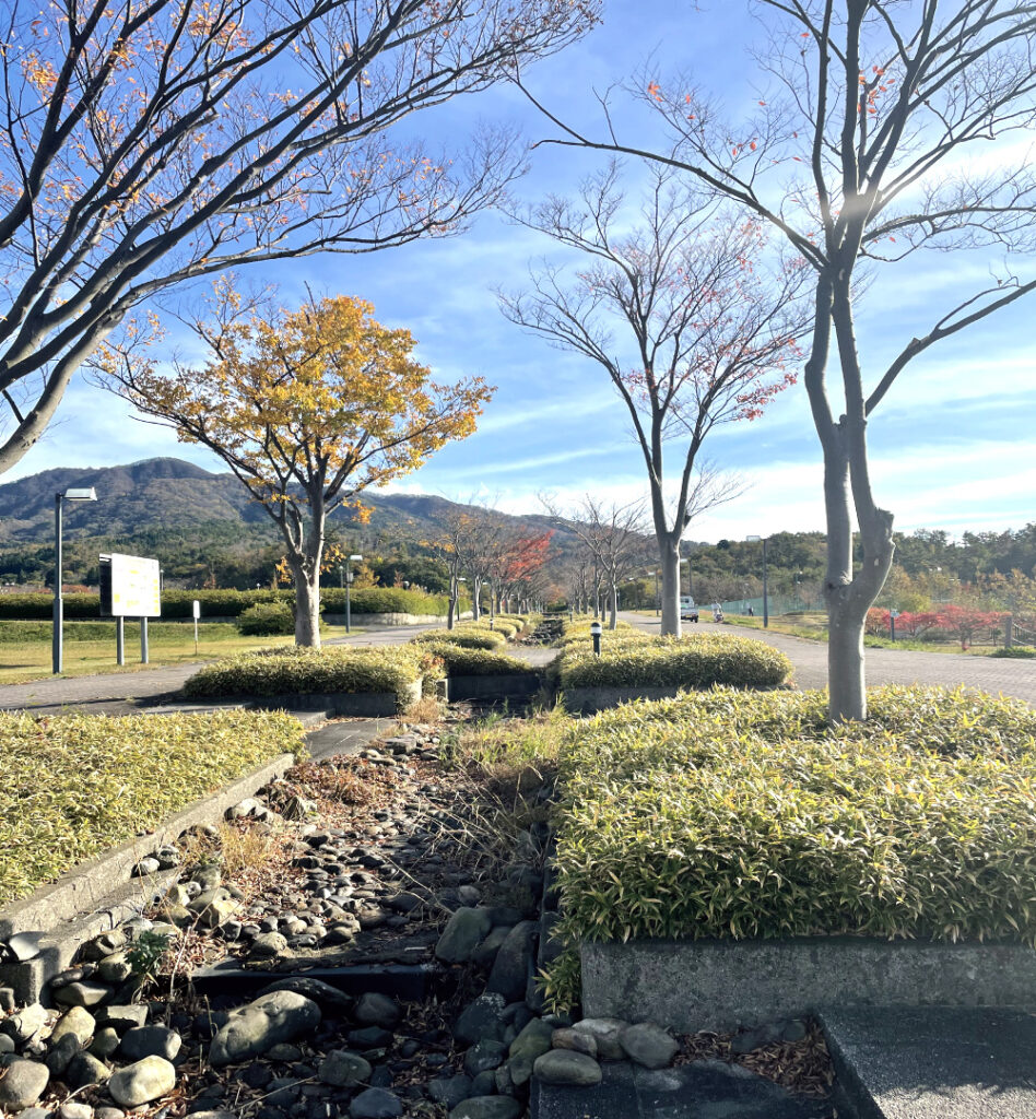 荒川スポット